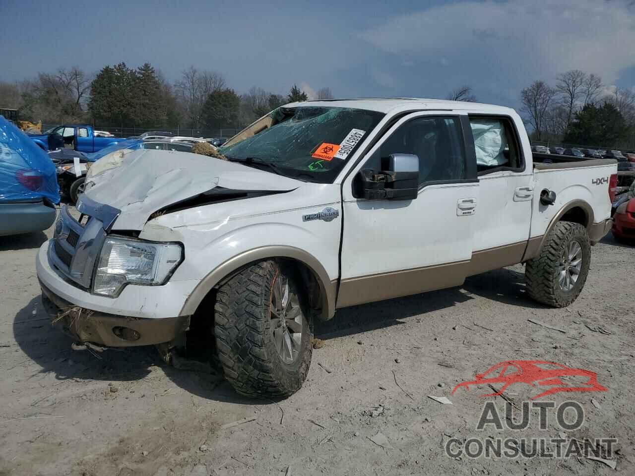 FORD F-150 2011 - 1FTFW1ET2BKE02174