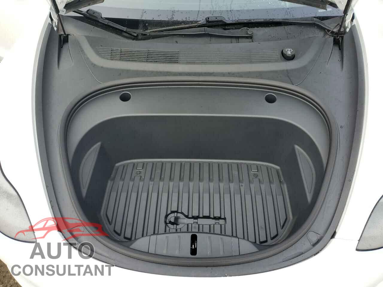 TESLA MODEL 3 2021 - 5YJ3E1EA1MF066389