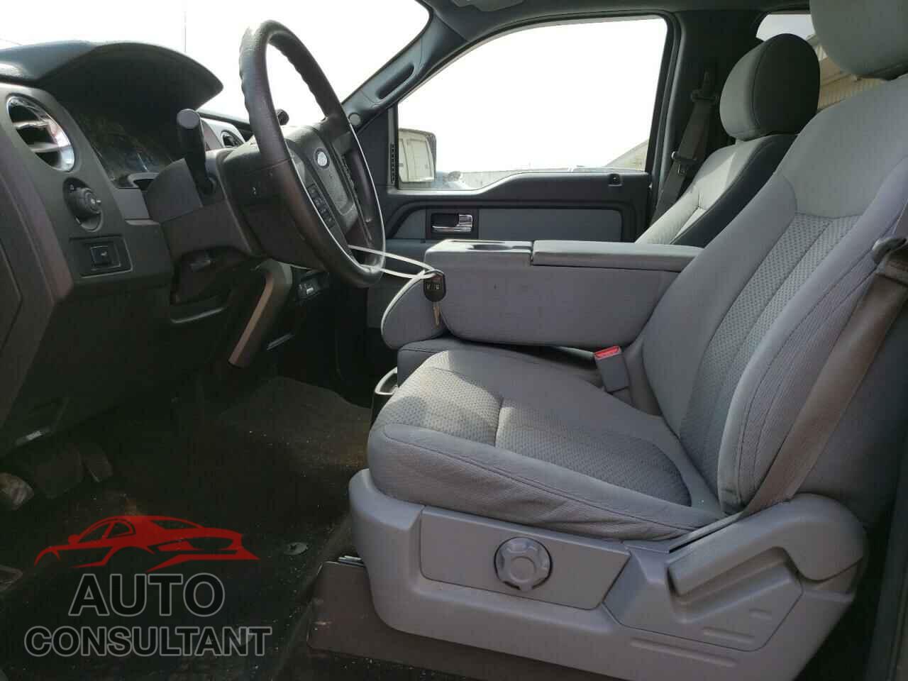FORD F-150 2013 - 1FTEW1CM1DFD61569
