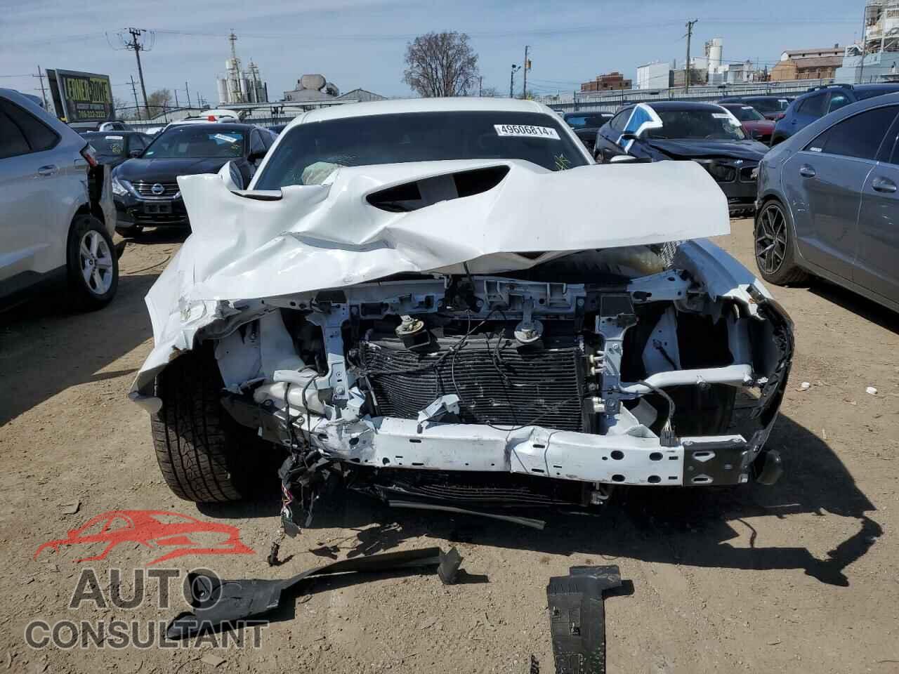 DODGE CHALLENGER 2019 - 2C3CDZFJ4KH741504