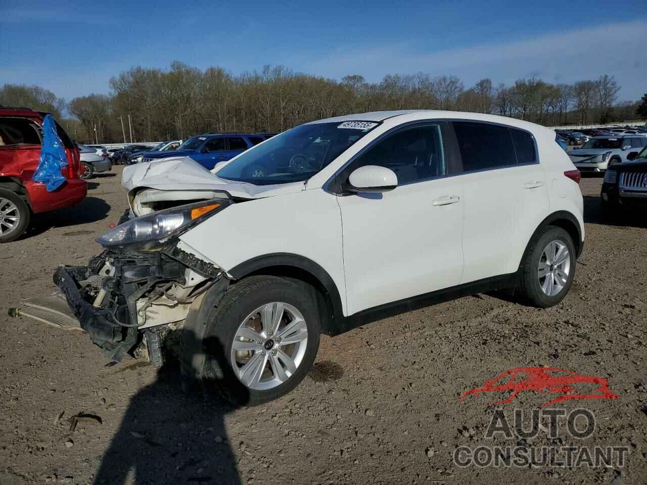 KIA SPORTAGE 2019 - KNDPM3AC1K7508422