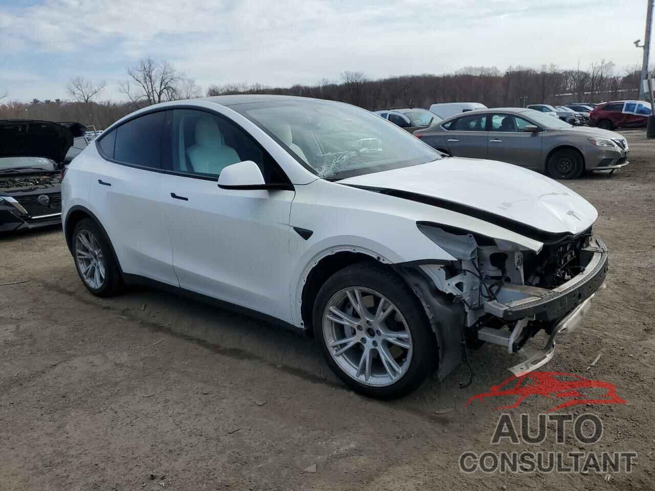 TESLA MODEL Y 2021 - 5YJYGDEEXMF063219
