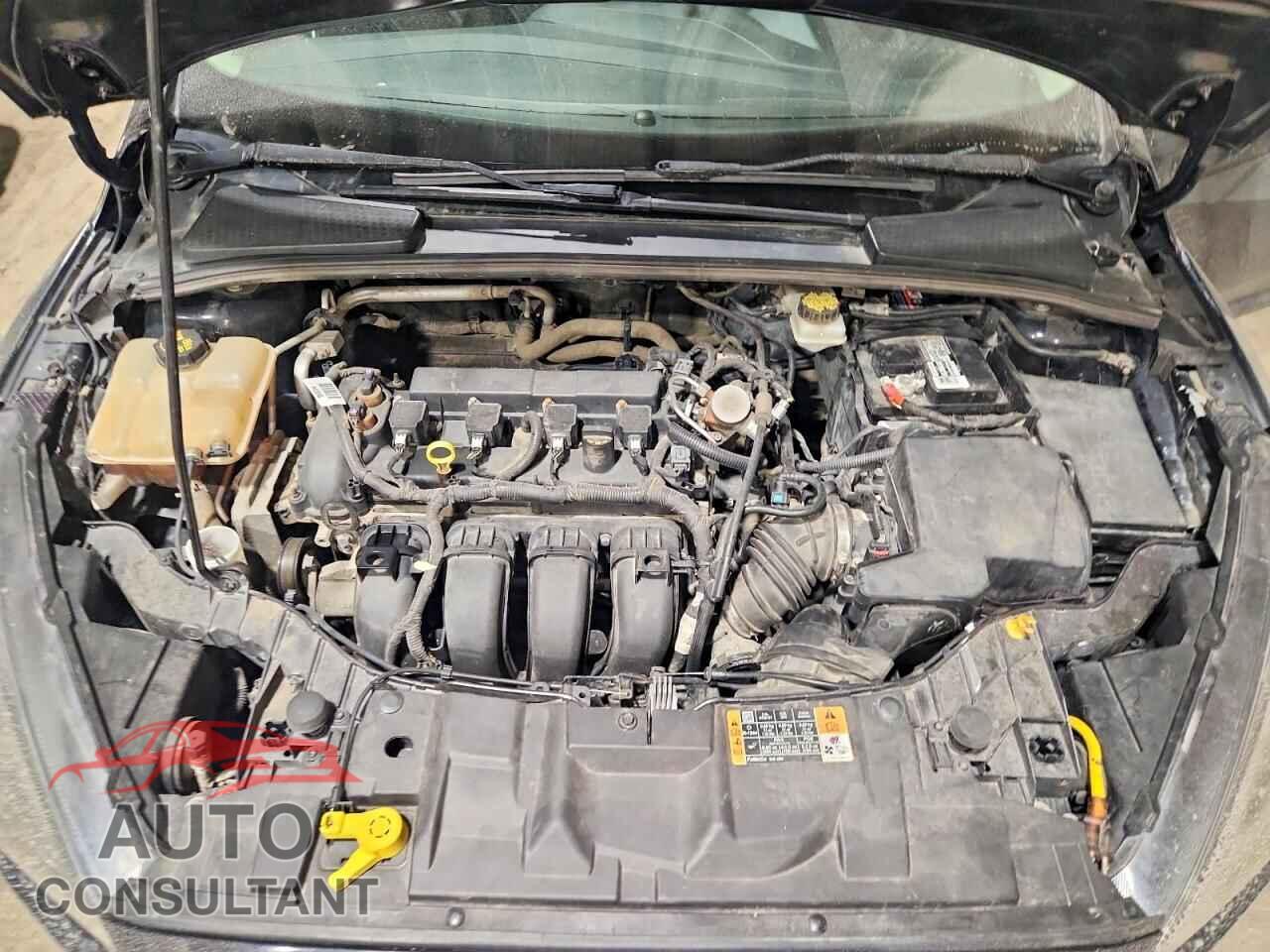 FORD FOCUS 2017 - 1FADP3F29HL255561