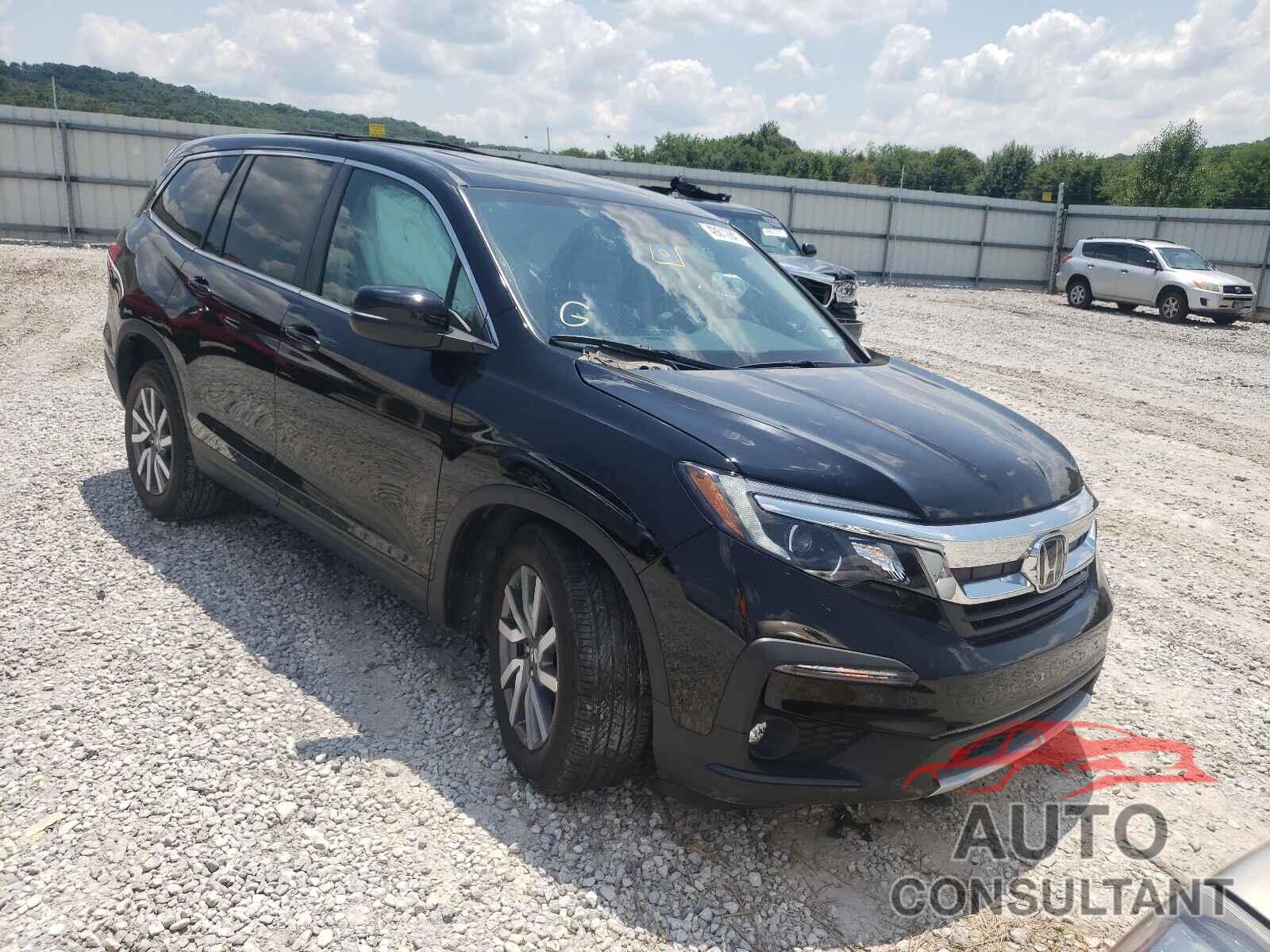 HONDA PILOT 2019 - 5FNYF5H51KB045922