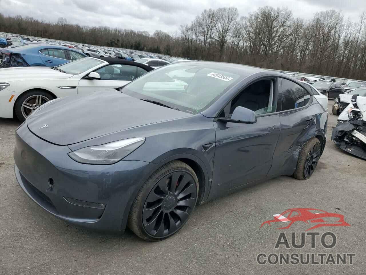 TESLA MODEL Y 2022 - 7SAYGDEF5NF397641