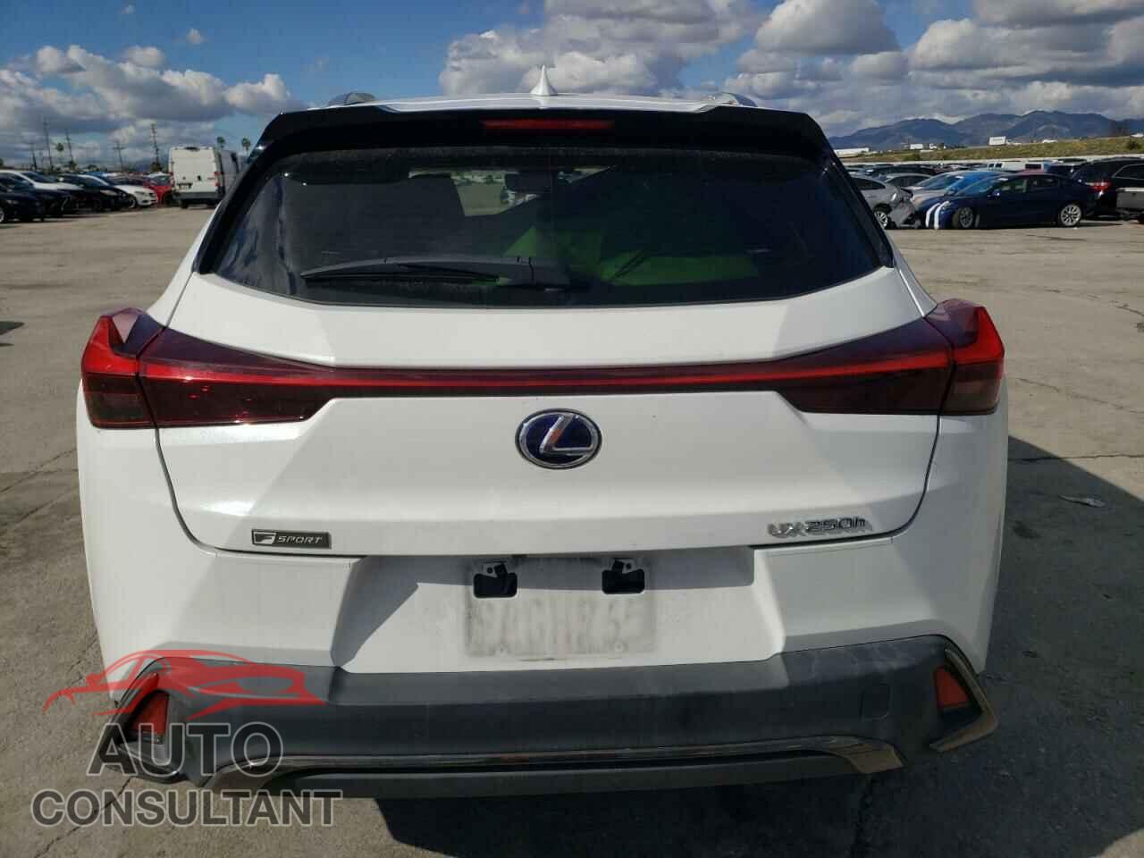 LEXUS UX 250H 2019 - JTHU9JBH4K2000802