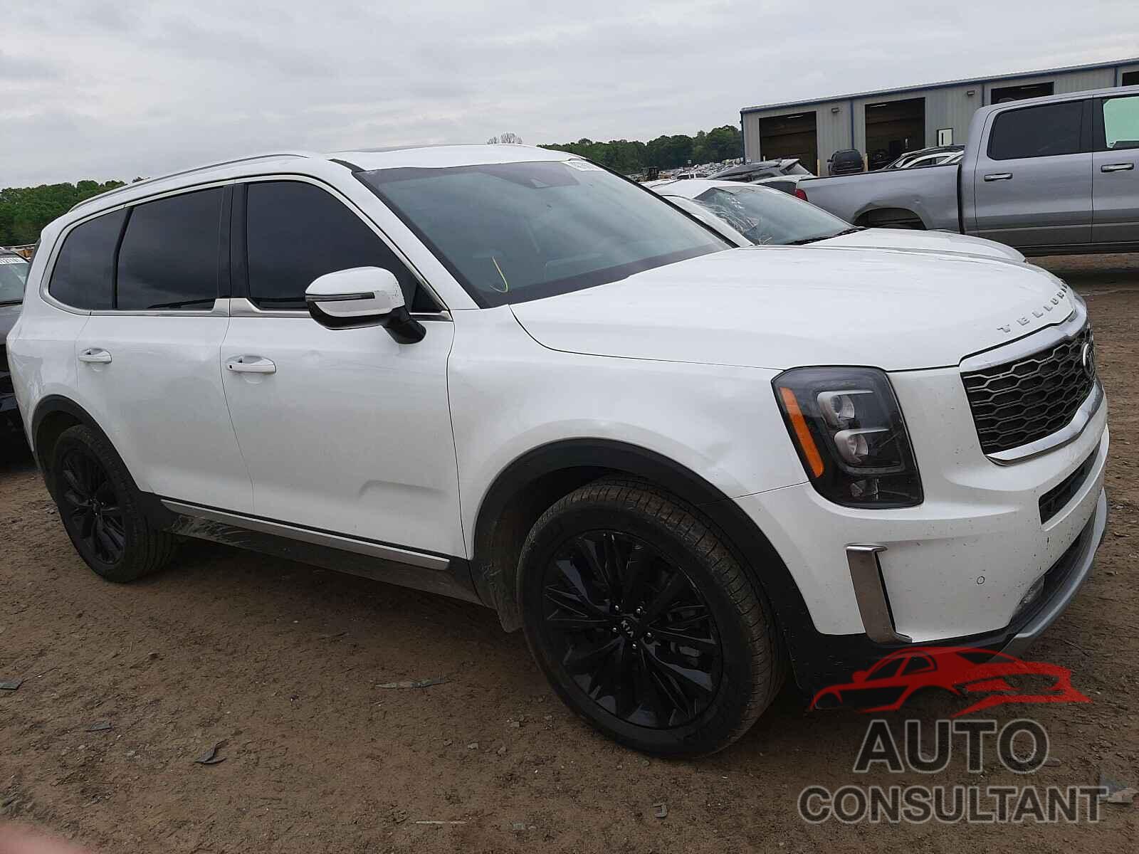 KIA TELLURIDE 2021 - 5XYP5DHC3MG102821