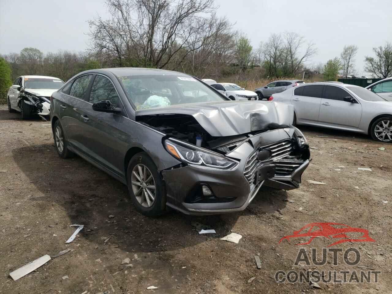 HYUNDAI SONATA 2019 - 5NPE24AF2KH734106