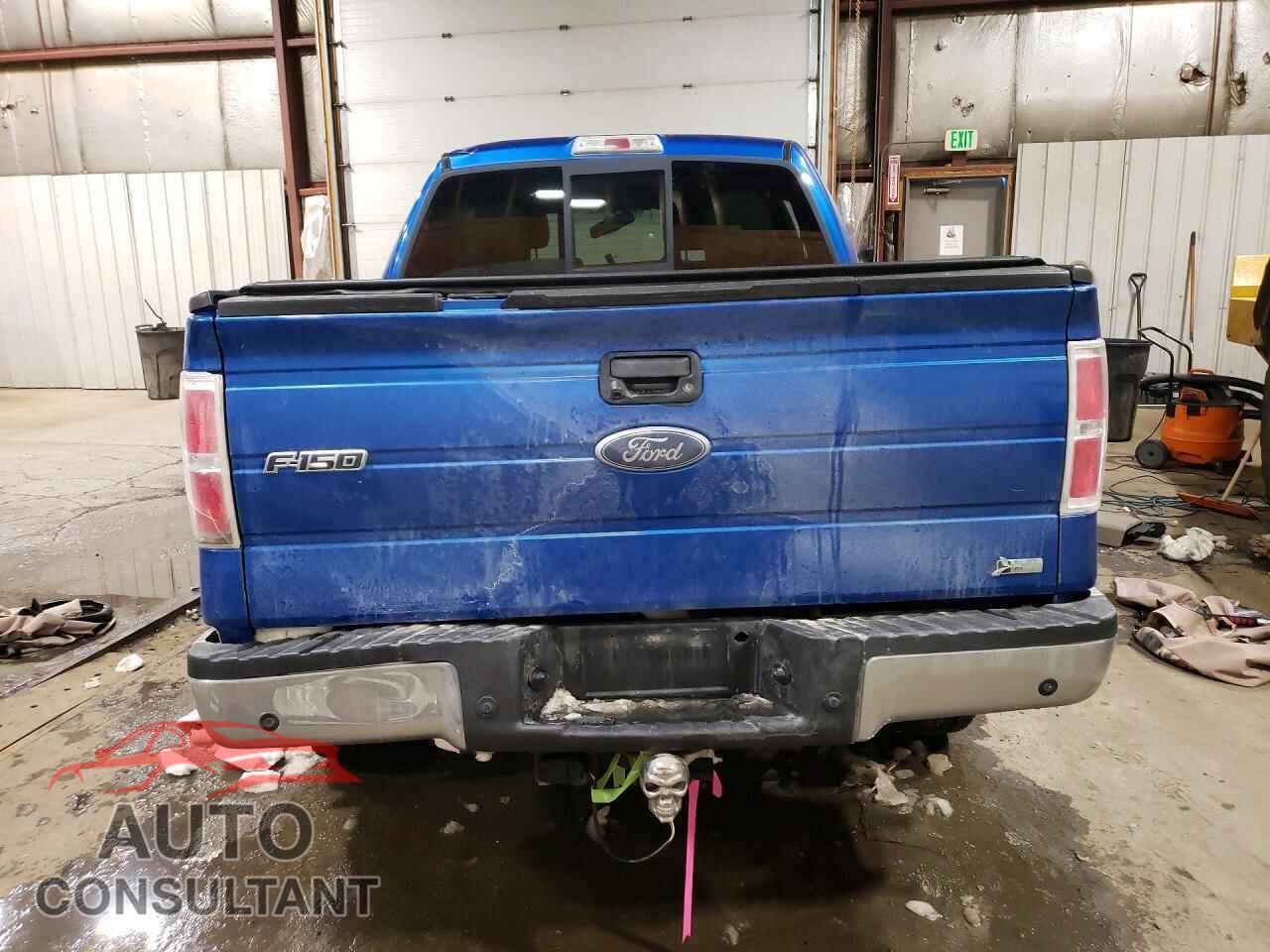 FORD F150 2010 - 1FTFW1EV2AFC52897