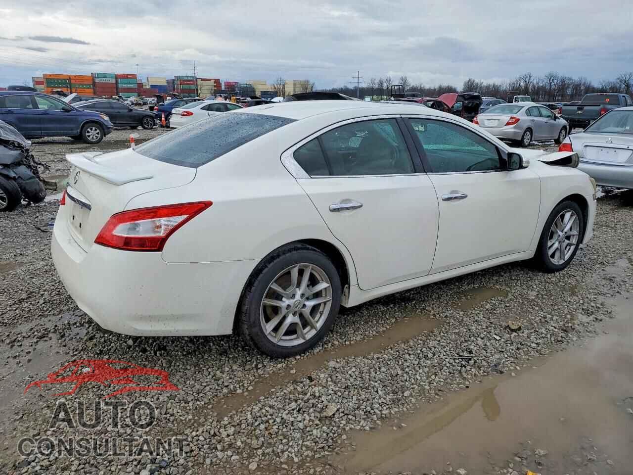 NISSAN MAXIMA 2011 - 1N4AA5AP1BC846154