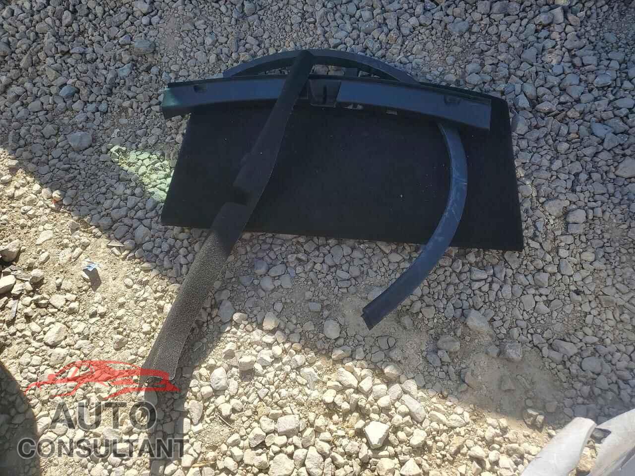 TESLA MODEL Y 2023 - 7SAYGDEE6PF816896