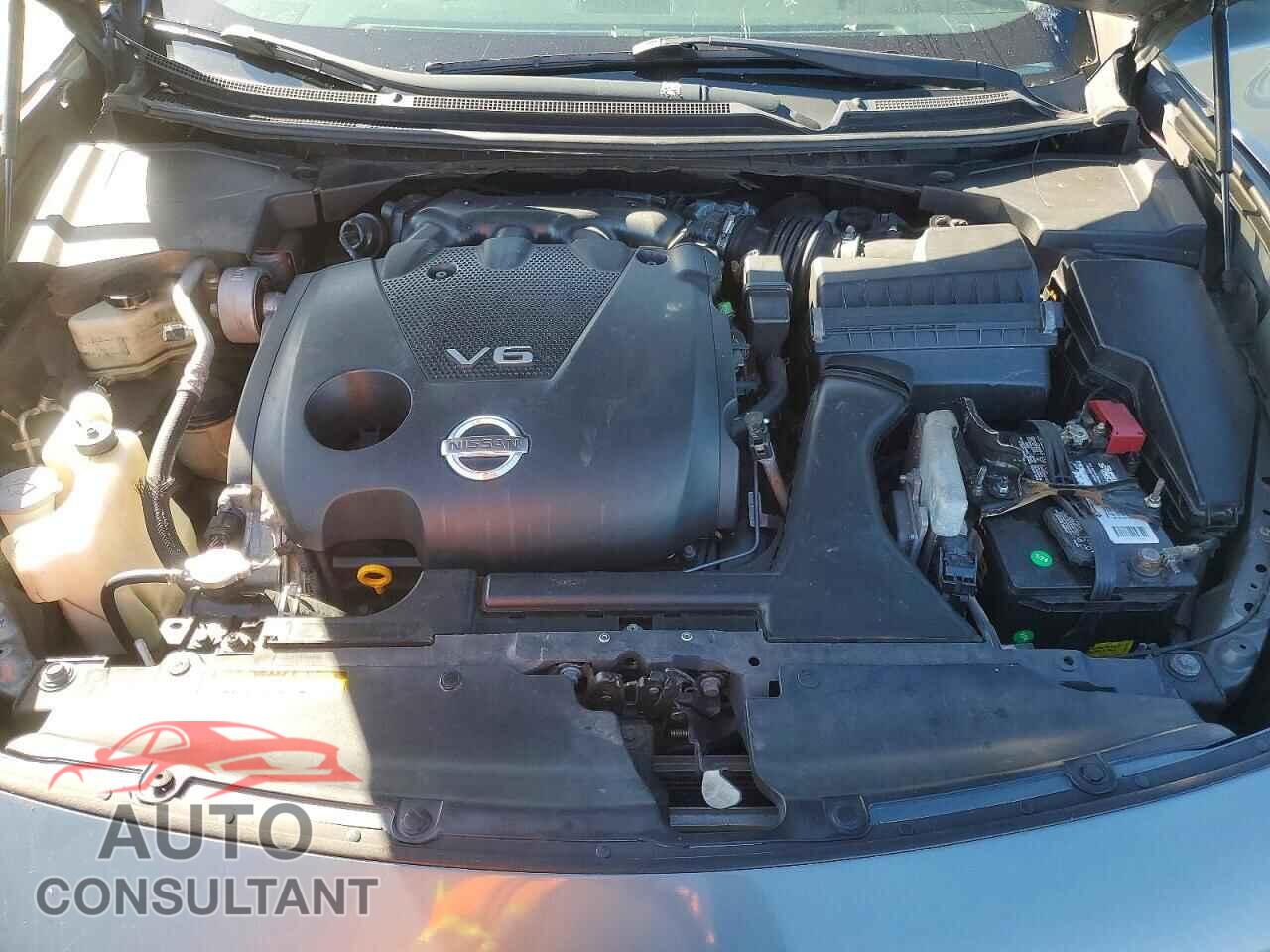 NISSAN MAXIMA 2010 - 1N4AA5AP7AC844553