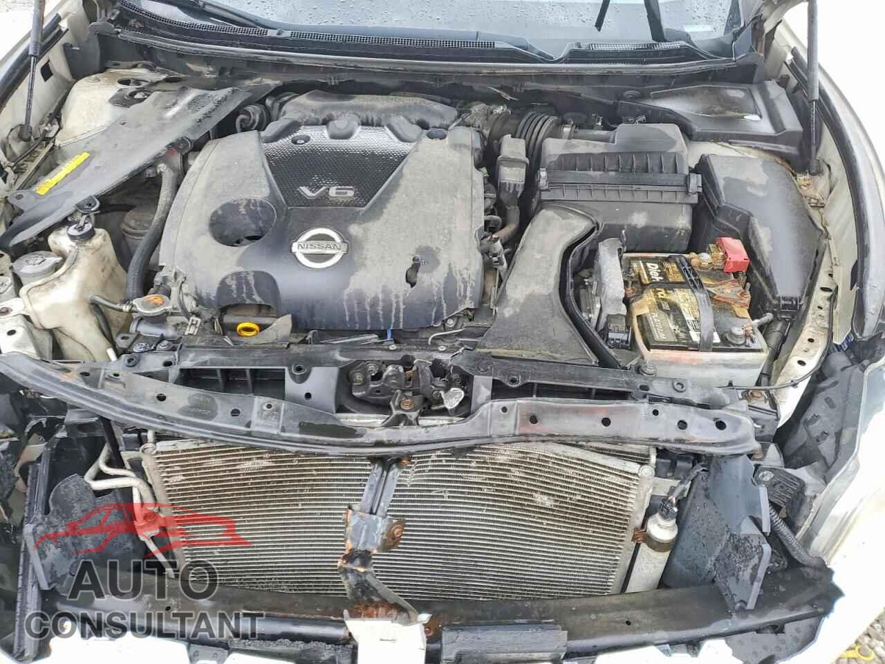NISSAN MAXIMA 2011 - 1N4AA5AP1BC846154