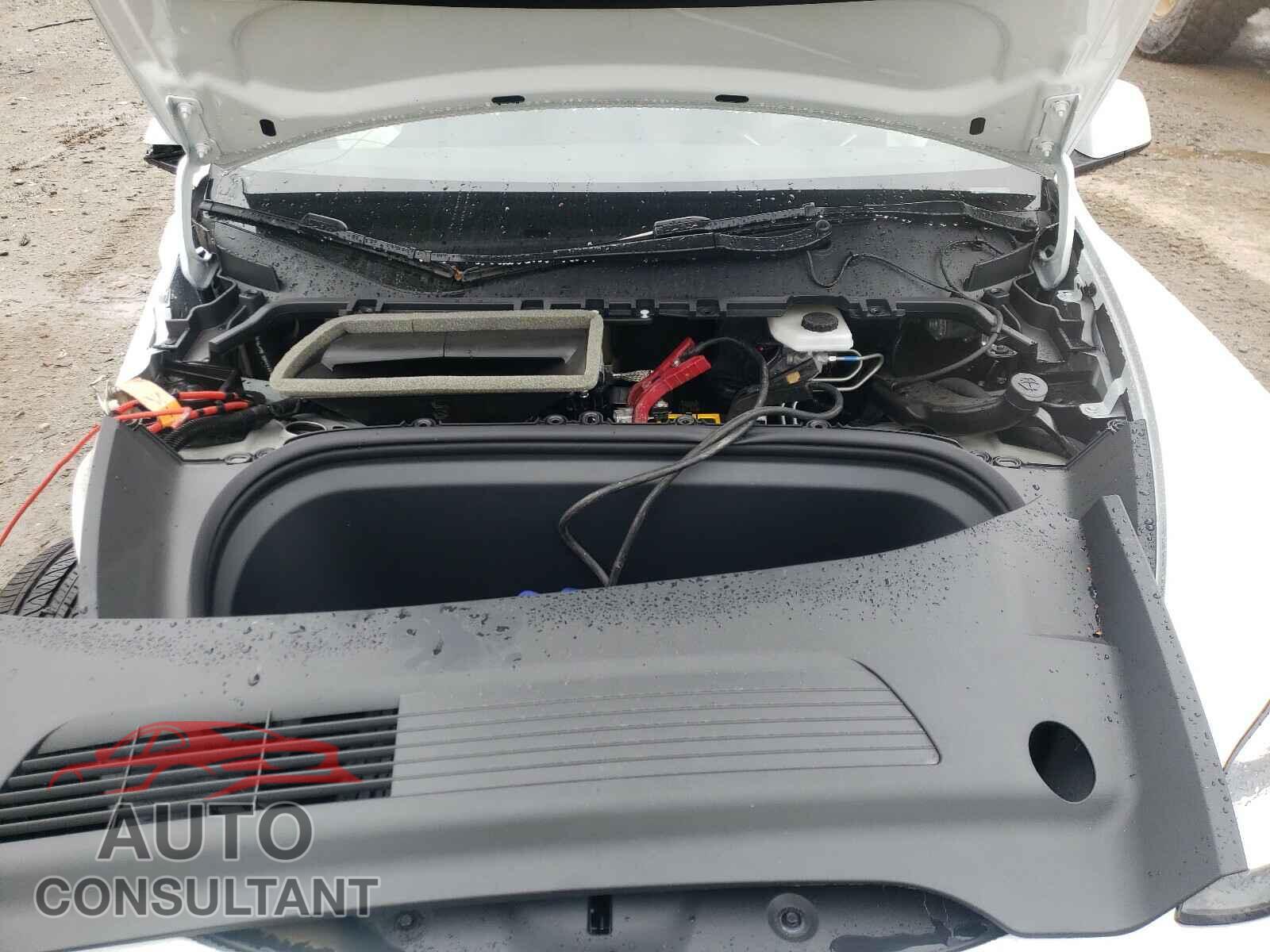 TESLA MODEL Y 2021 - 5YJYGDED7MF109712