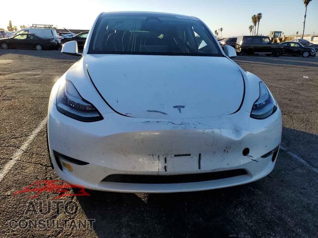 TESLA MODEL Y 2023 - 7SAYGDEE2PA144882