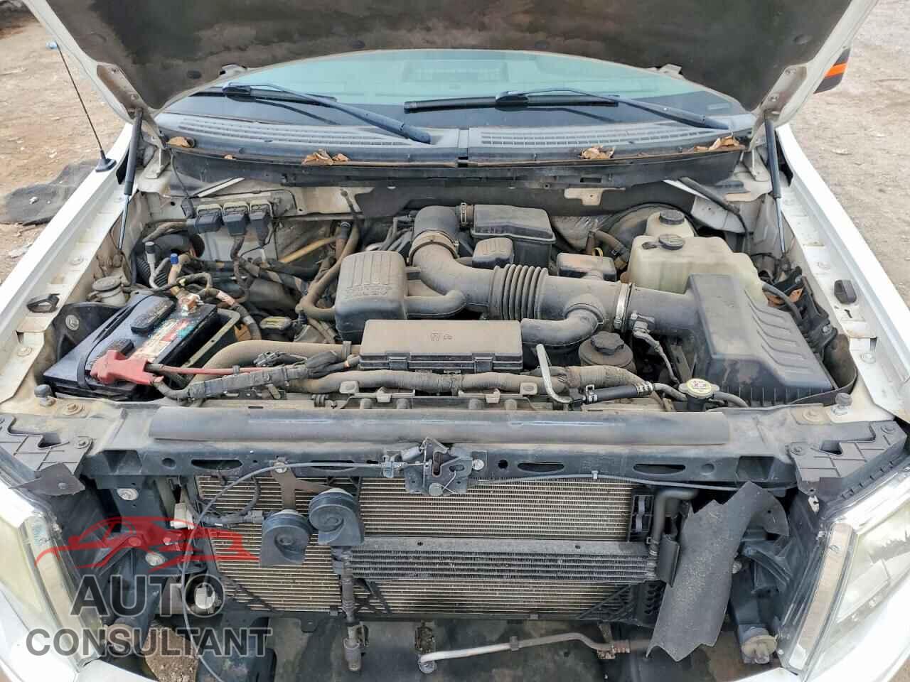 FORD F150 2010 - 1FTFW1CV7AFB18003