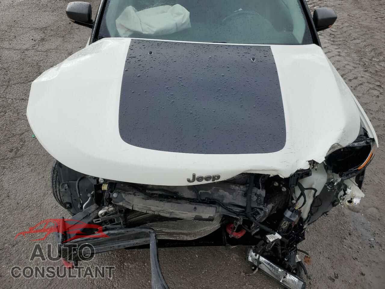 JEEP COMPASS 2019 - 3C4NJDDB5KT811532