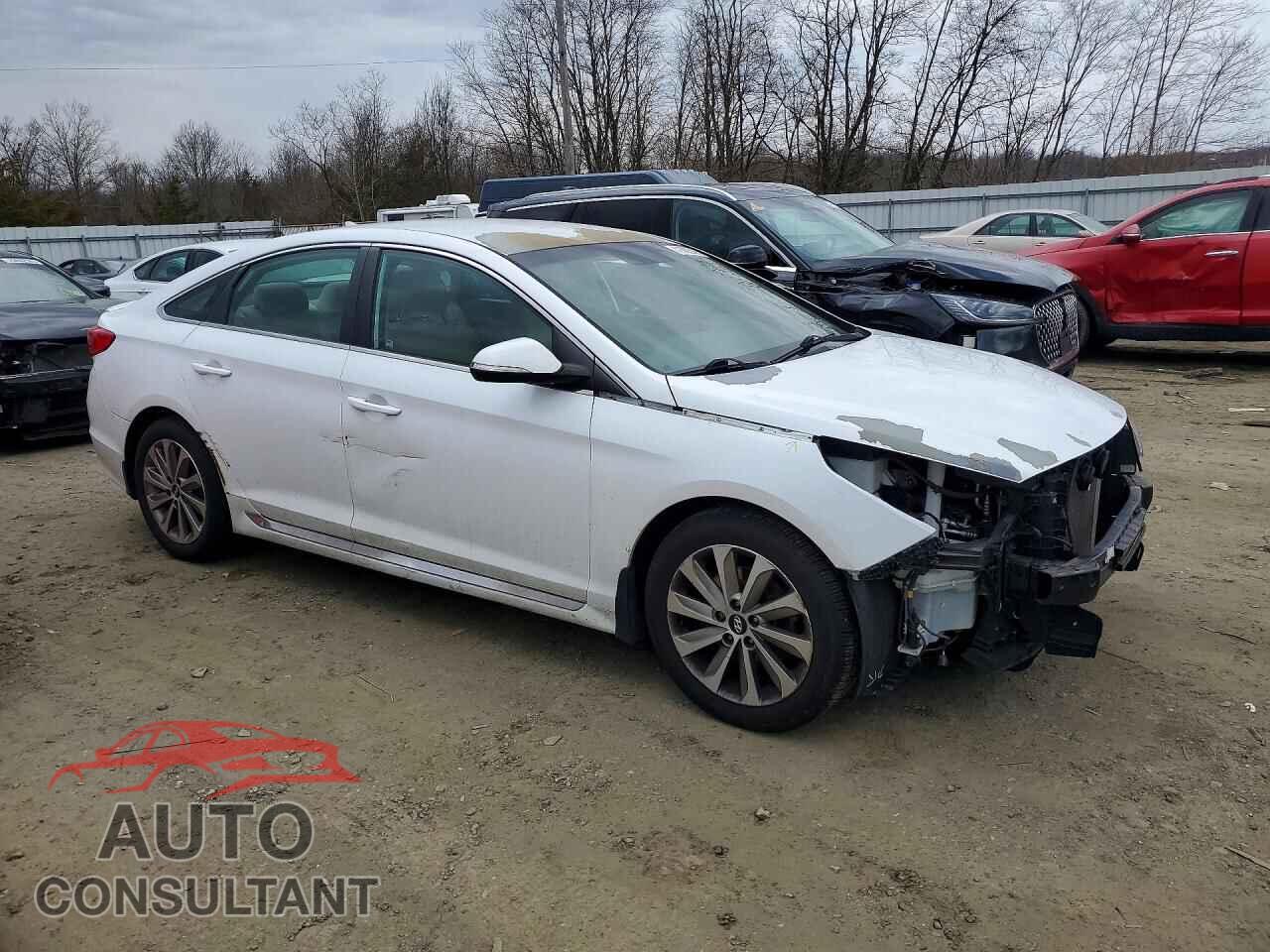 HYUNDAI SONATA 2015 - 5NPE34AF1FH223716