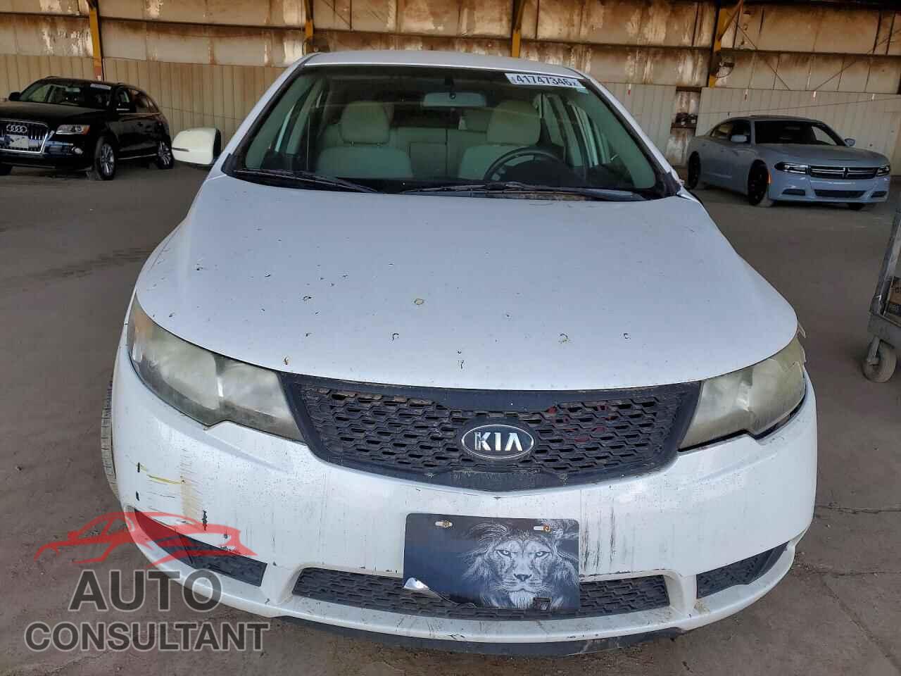 KIA FORTE 2013 - KNAFU4A27D5731231