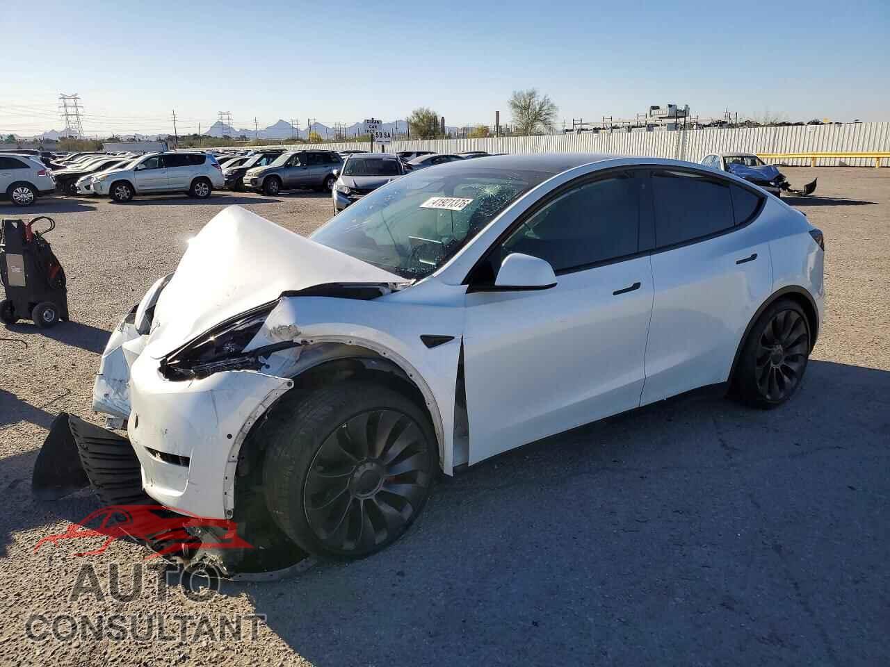 TESLA MODEL Y 2021 - 5YJYGDEF4MF202088