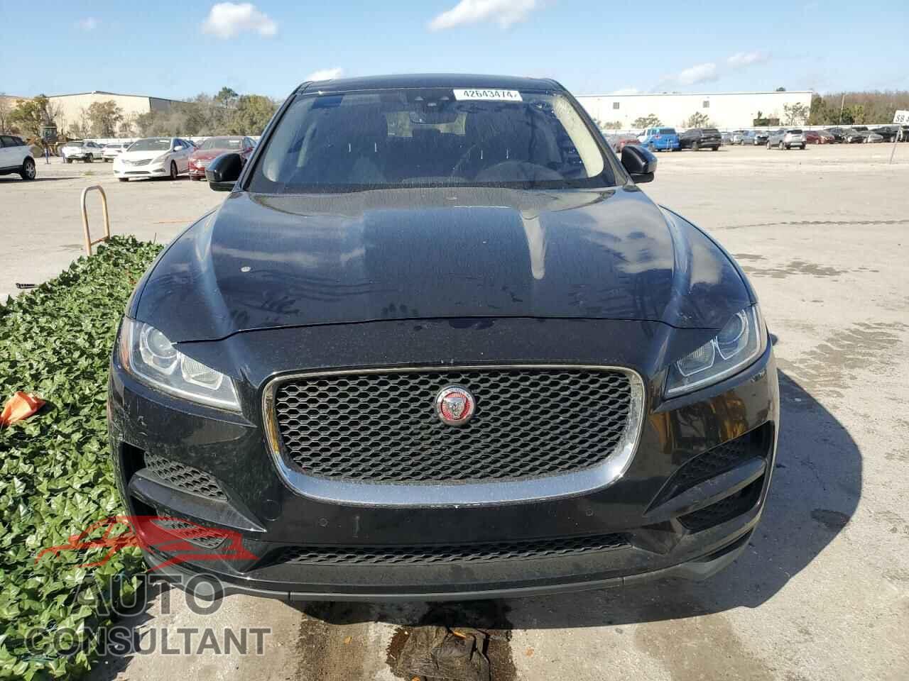 JAGUAR F-PACE 2019 - SADCS2FX9KA391612