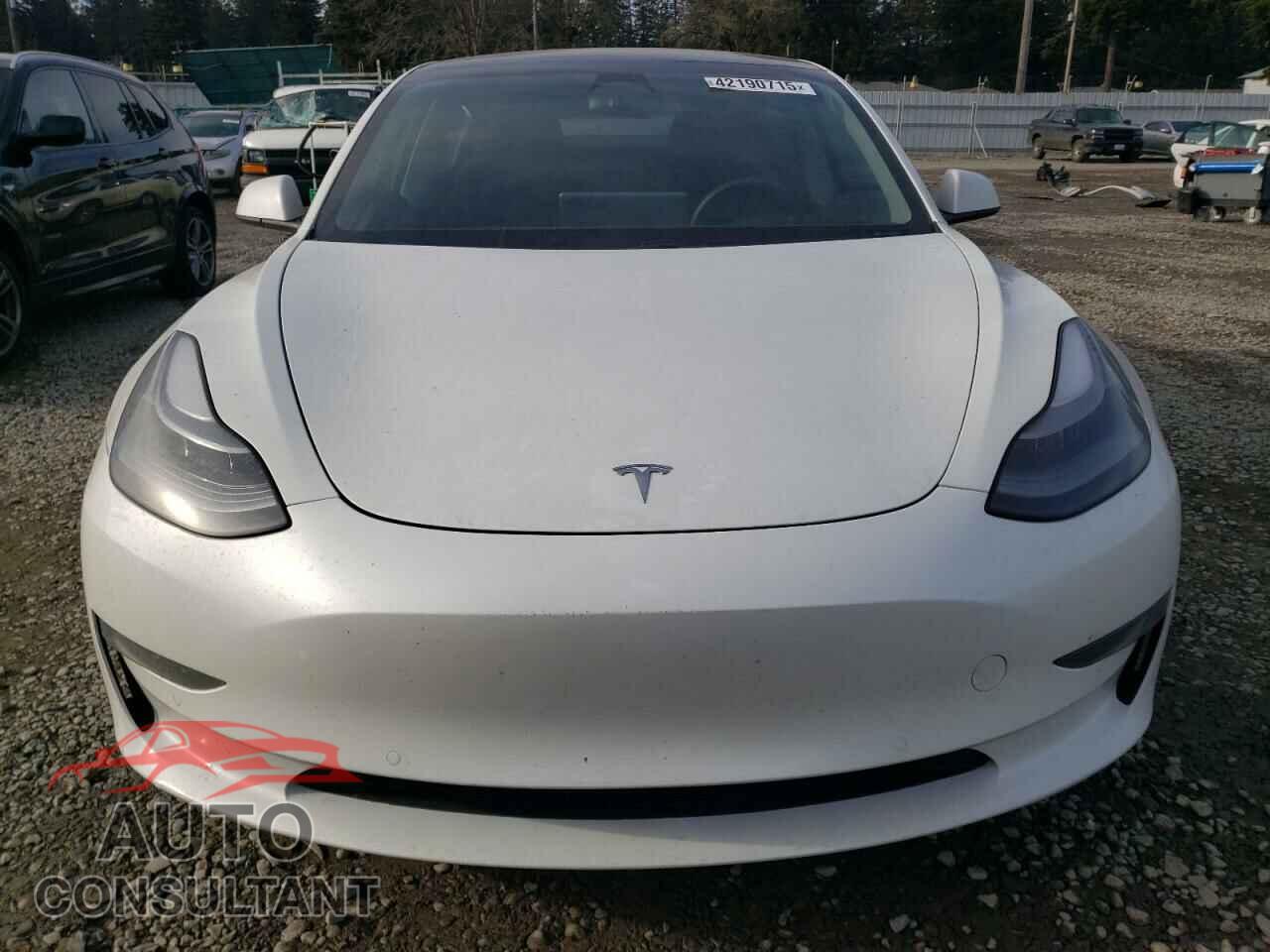 TESLA MODEL 3 2021 - 5YJ3E1EA8MF028044