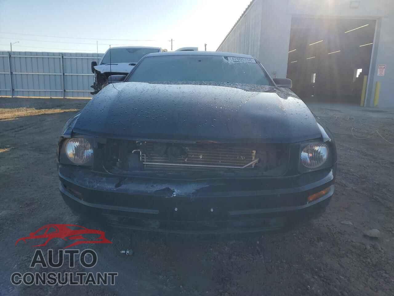 FORD MUSTANG 2009 - 1ZVHT80N095105932