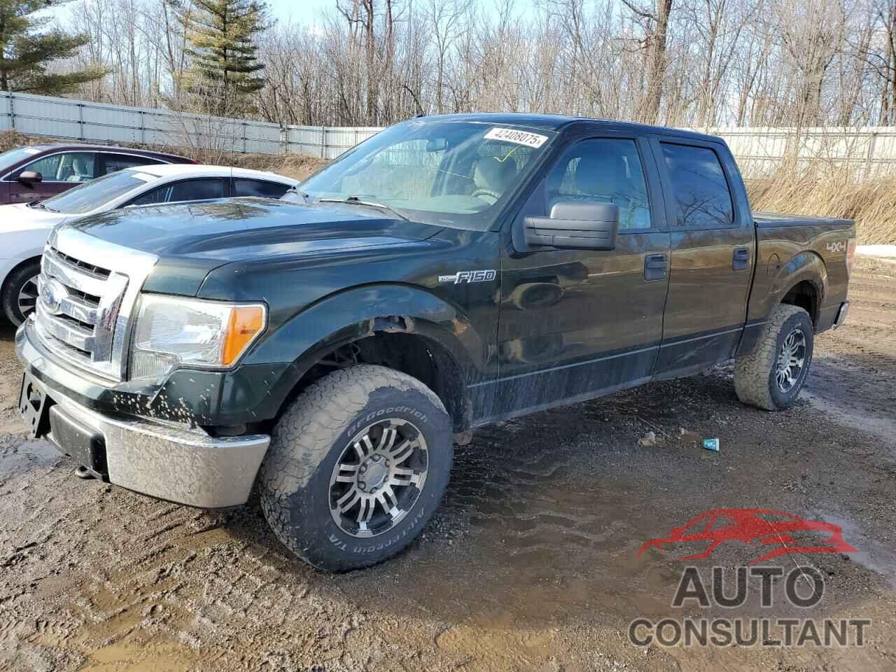 FORD F-150 2012 - 1FTFW1EF5CFC63033