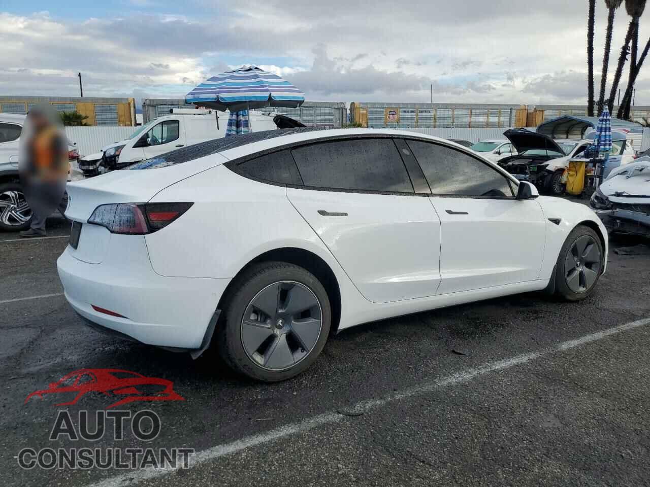 TESLA MODEL 3 2022 - 5YJ3E1EA7NF307034