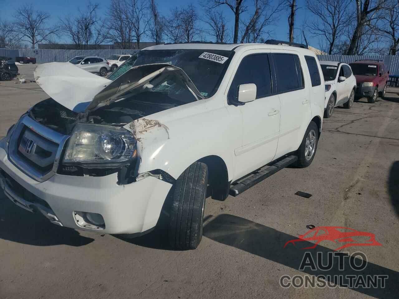 HONDA PILOT 2011 - 5FNYF4H58BB026696
