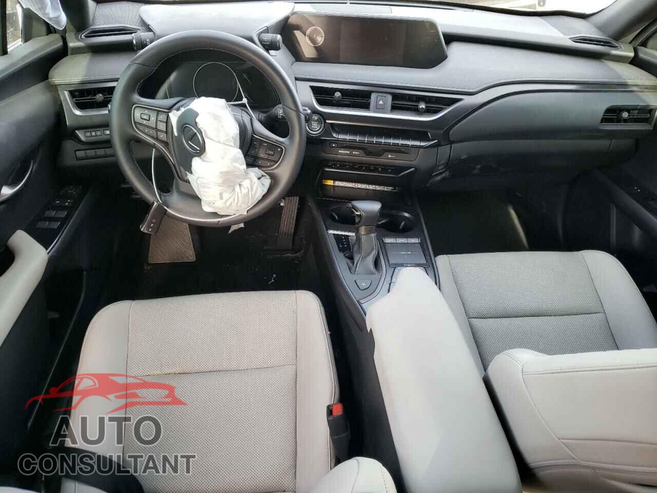 LEXUS UX 200 BAS 2022 - JTHP3JBH2N2046373