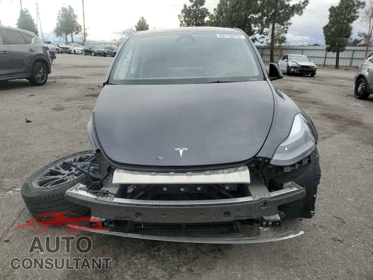TESLA MODEL Y 2024 - 7SAYGDED8RF132426