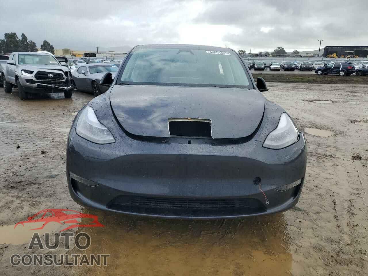 TESLA MODEL Y 2024 - 7SAYGDEE7RF179424