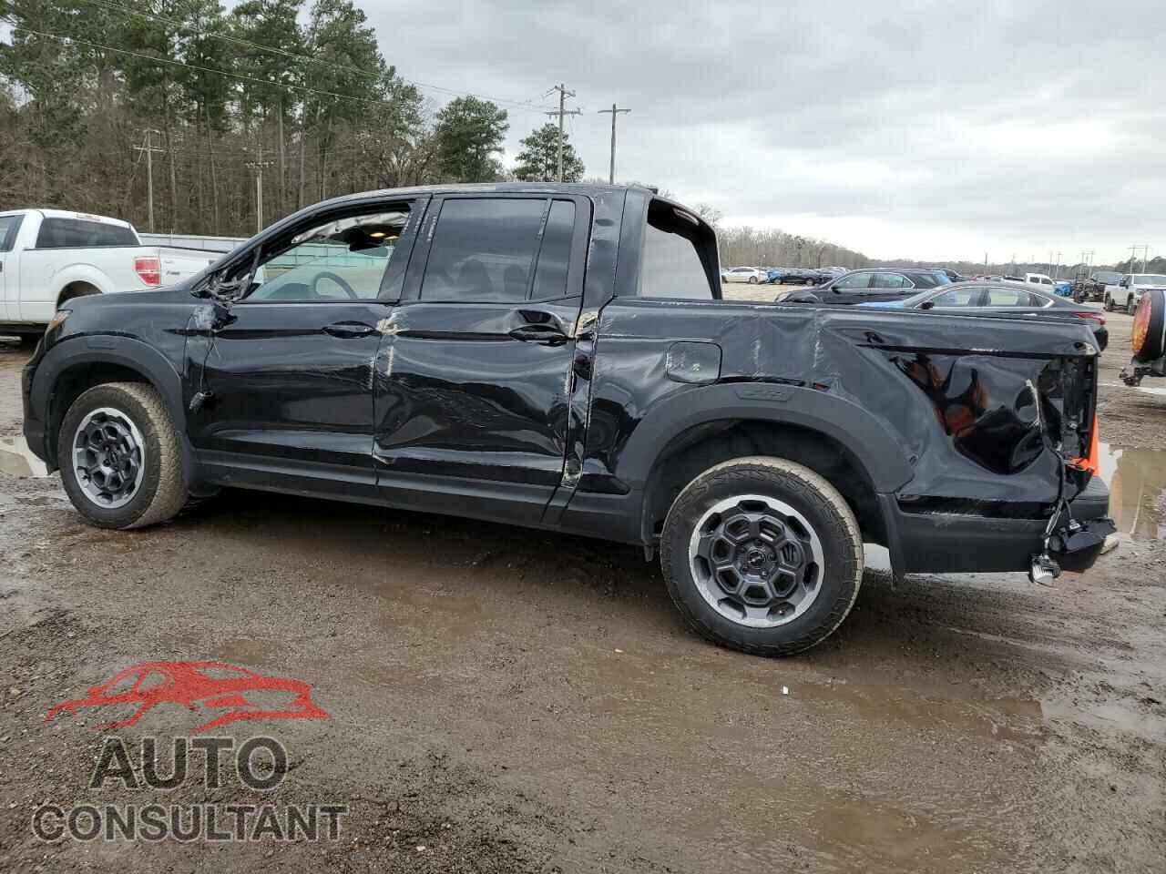 HONDA RIDGELINE 2024 - 5FPYK3F12RB008573