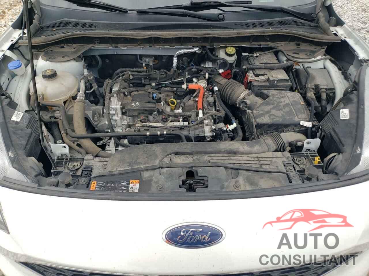 FORD ESCAPE 2021 - 1FMCU9H64MUA51493