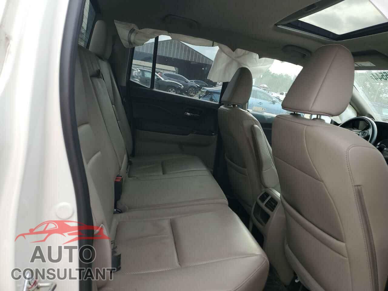 HONDA RIDGELINE 2019 - 5FPYK3F71KB000491