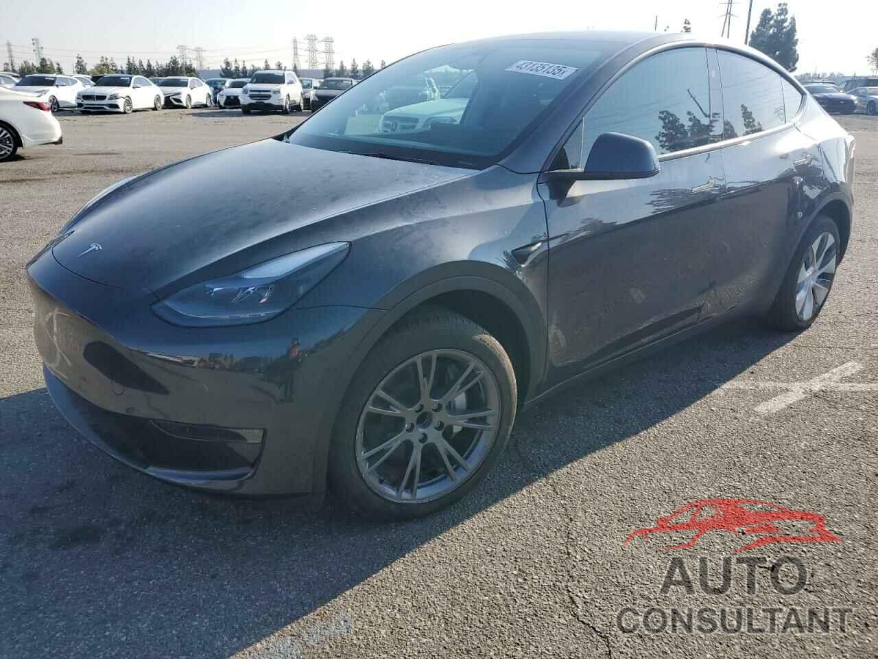 TESLA MODEL Y 2024 - 7SAYGDED4RF032615