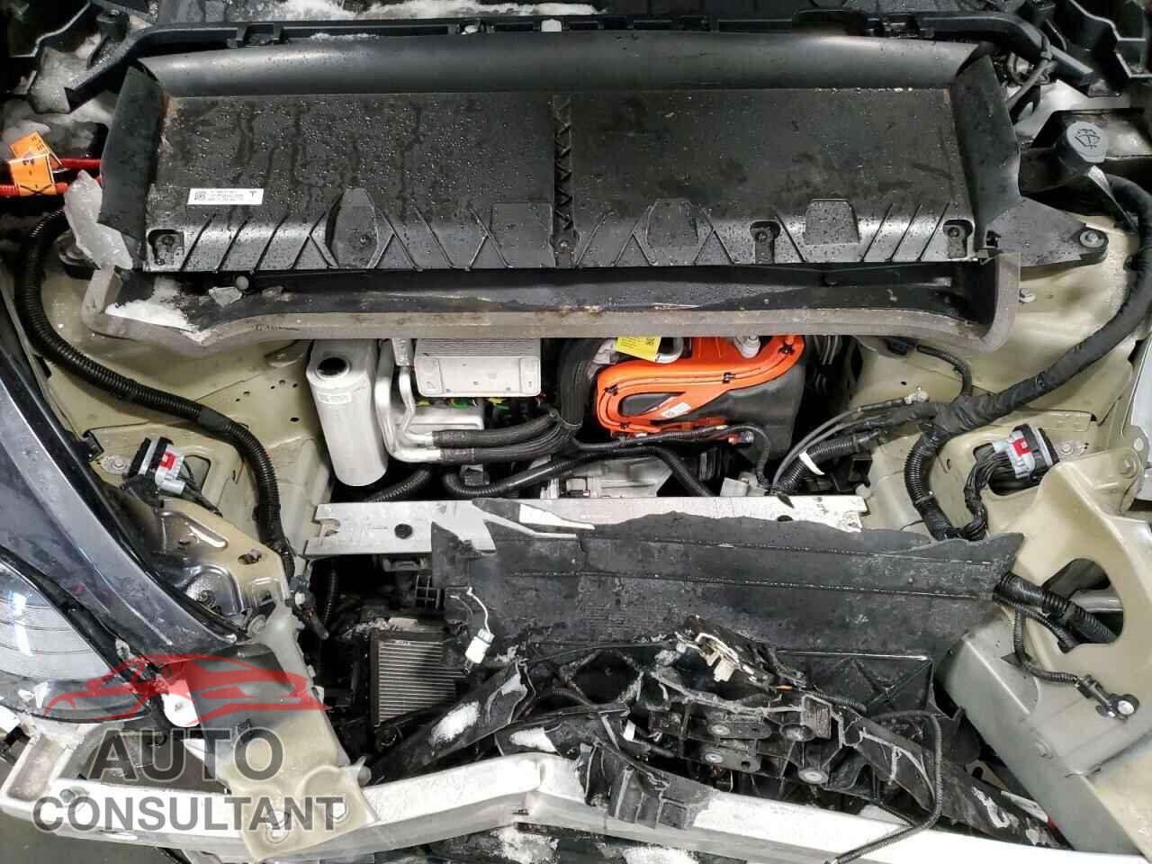TESLA MODEL Y 2024 - 7SAYGDEE4RF081502