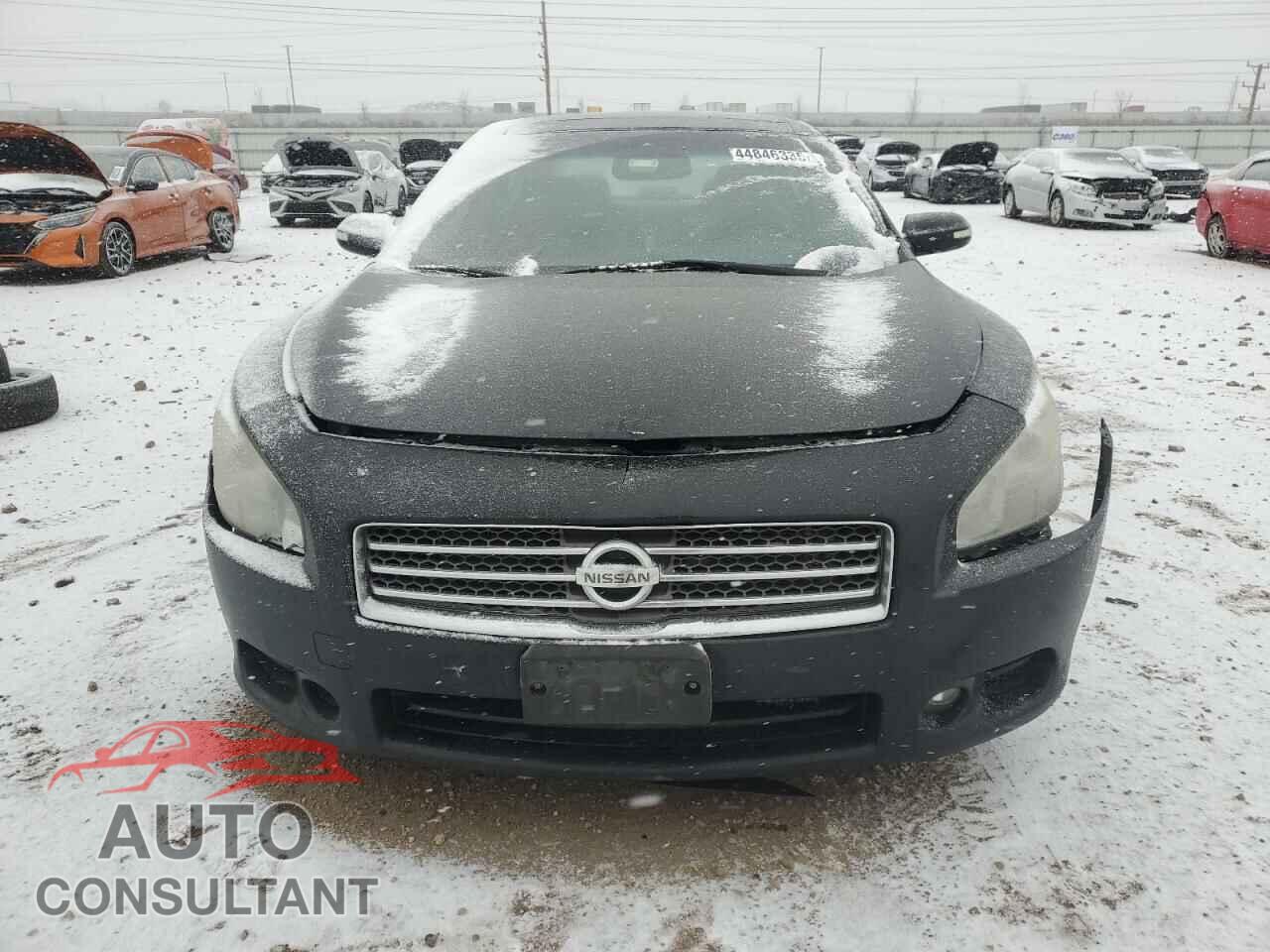 NISSAN MAXIMA 2011 - 1N4AA5AP3BC841859
