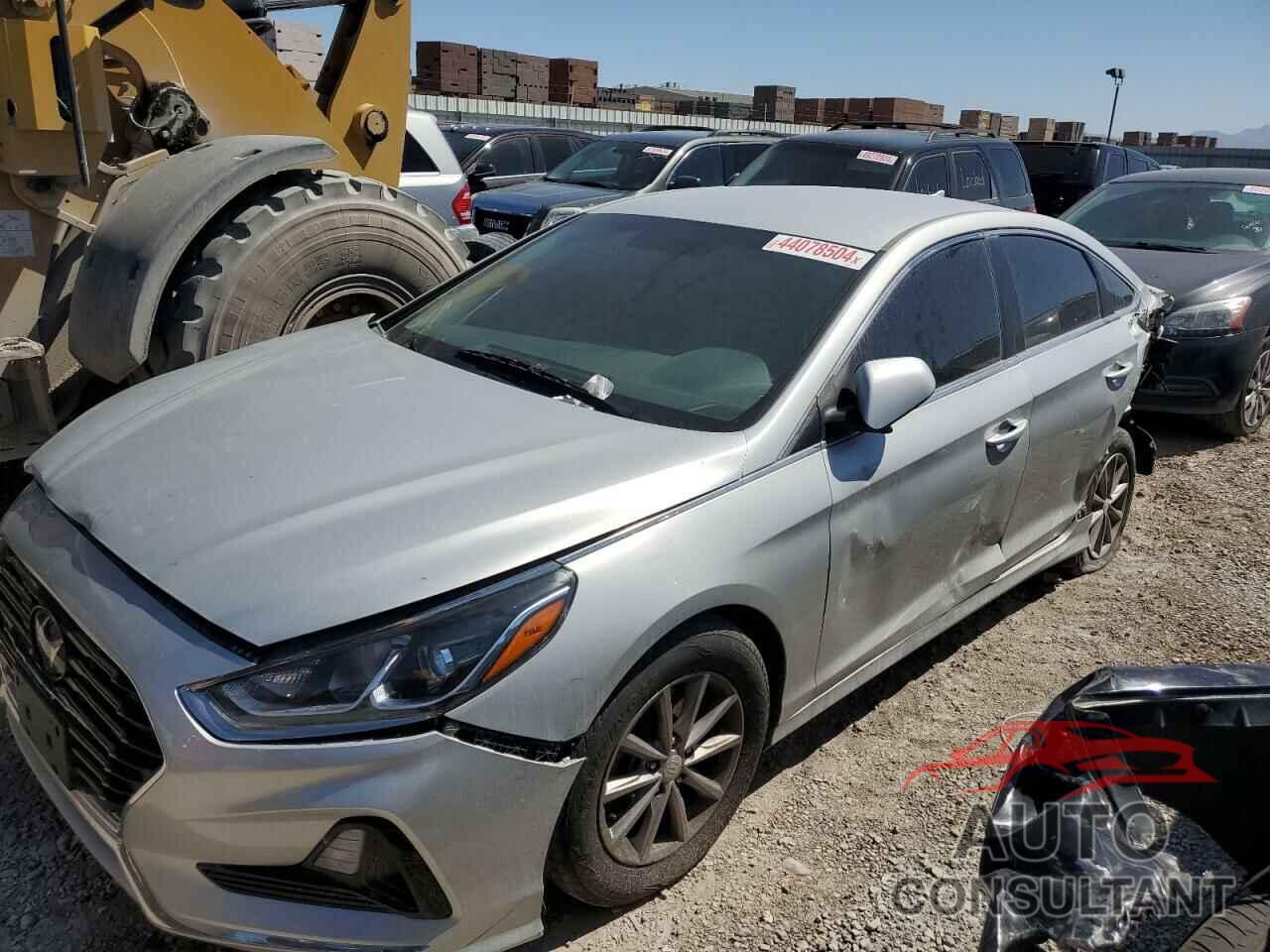 HYUNDAI SONATA 2019 - 5NPE24AF7KH800617