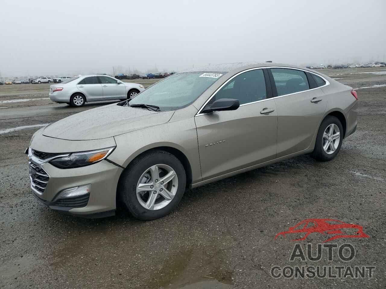 CHEVROLET MALIBU 2022 - 1G1ZB5ST8NF191718