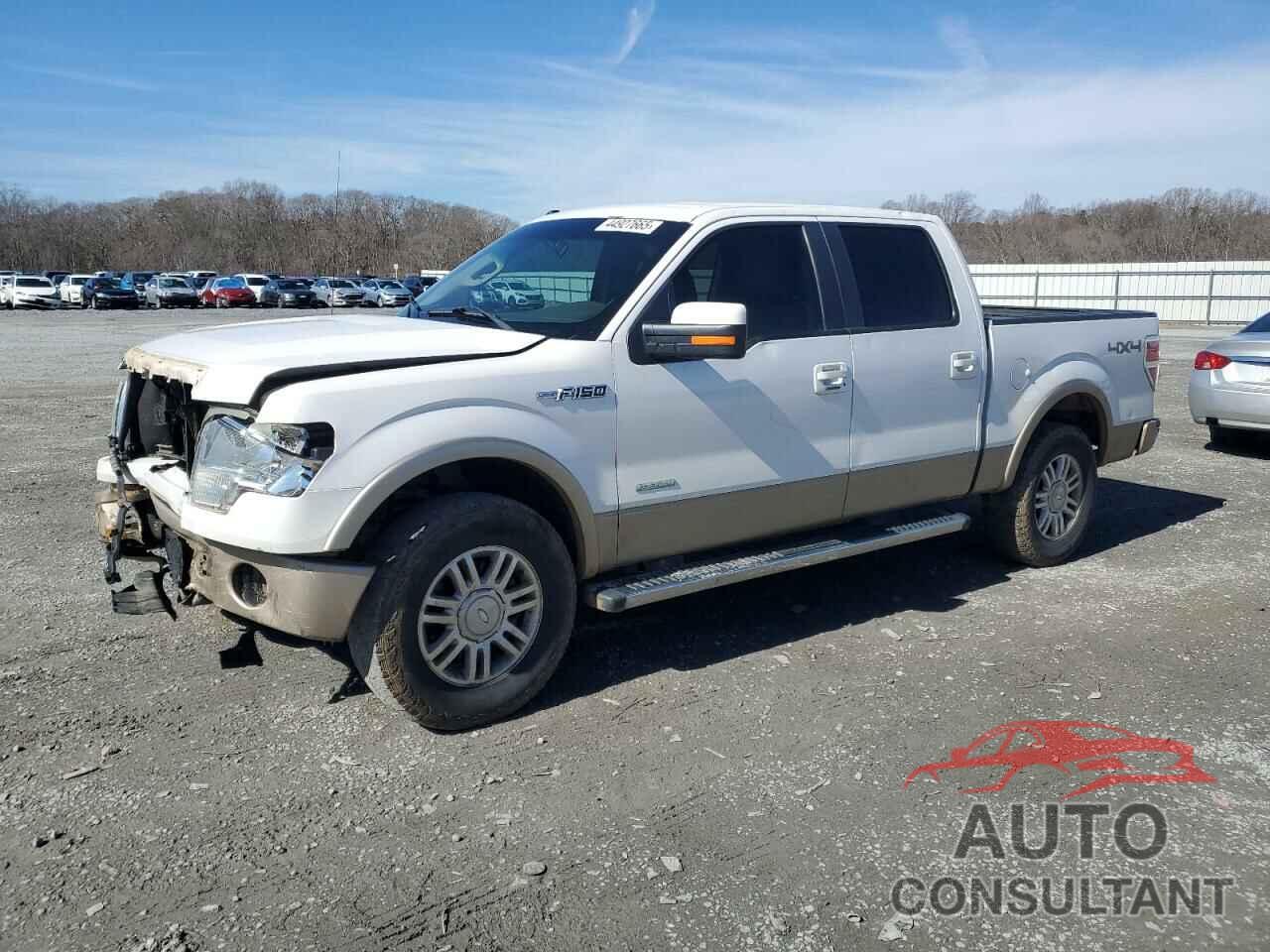 FORD F-150 2011 - 1FTFW1ET8BFB61407