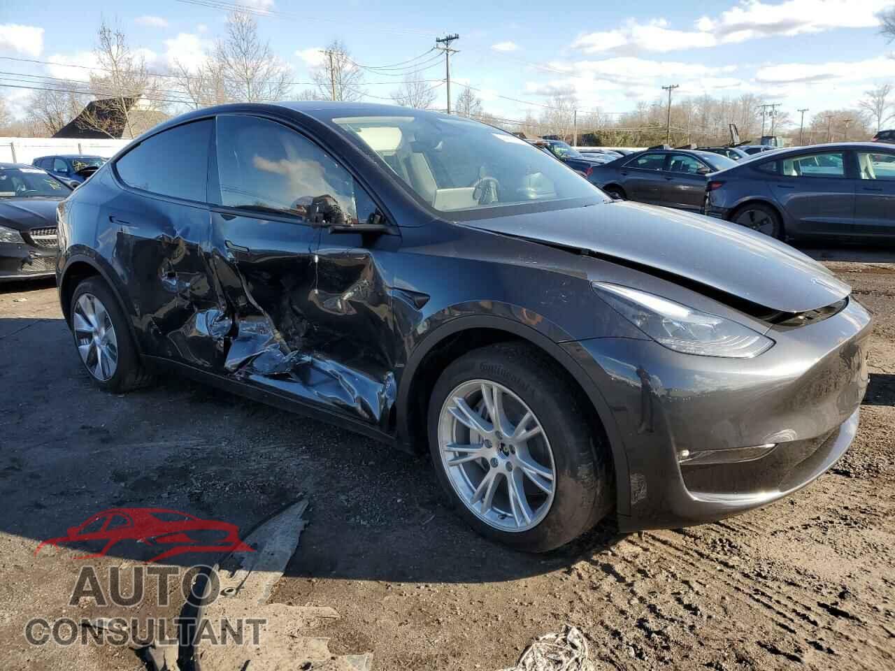 TESLA MODEL Y 2024 - 7SAYGAEE3RF995061