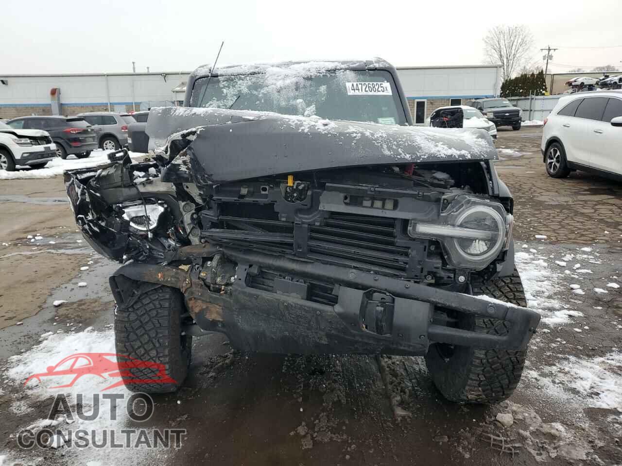 FORD BRONCO WIL 2024 - 1FMEE2BP2RLA72211