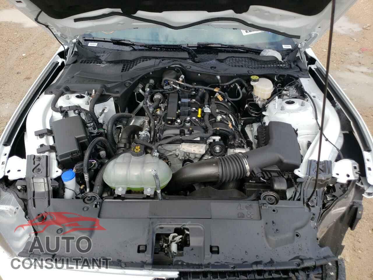 FORD MUSTANG 2022 - 1FA6P8TH7N5104894