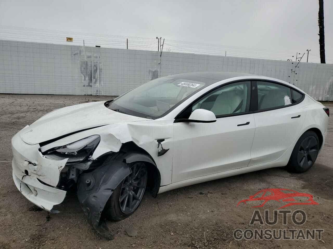 TESLA MODEL 3 2021 - 5YJ3E1EA1MF942989