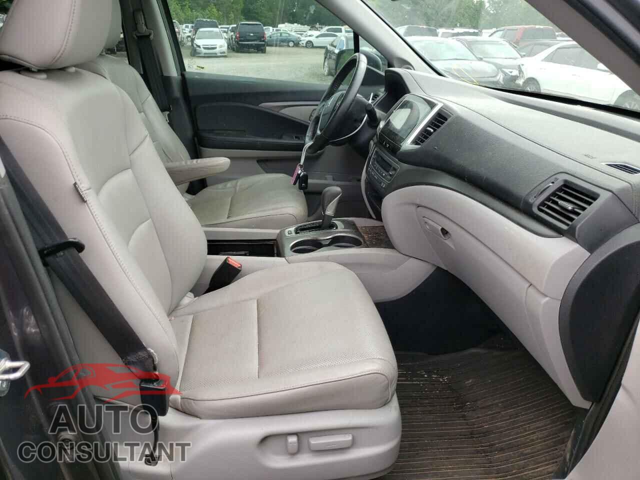 HONDA RIDGELINE 2019 - 5FPYK3F6XKB034856