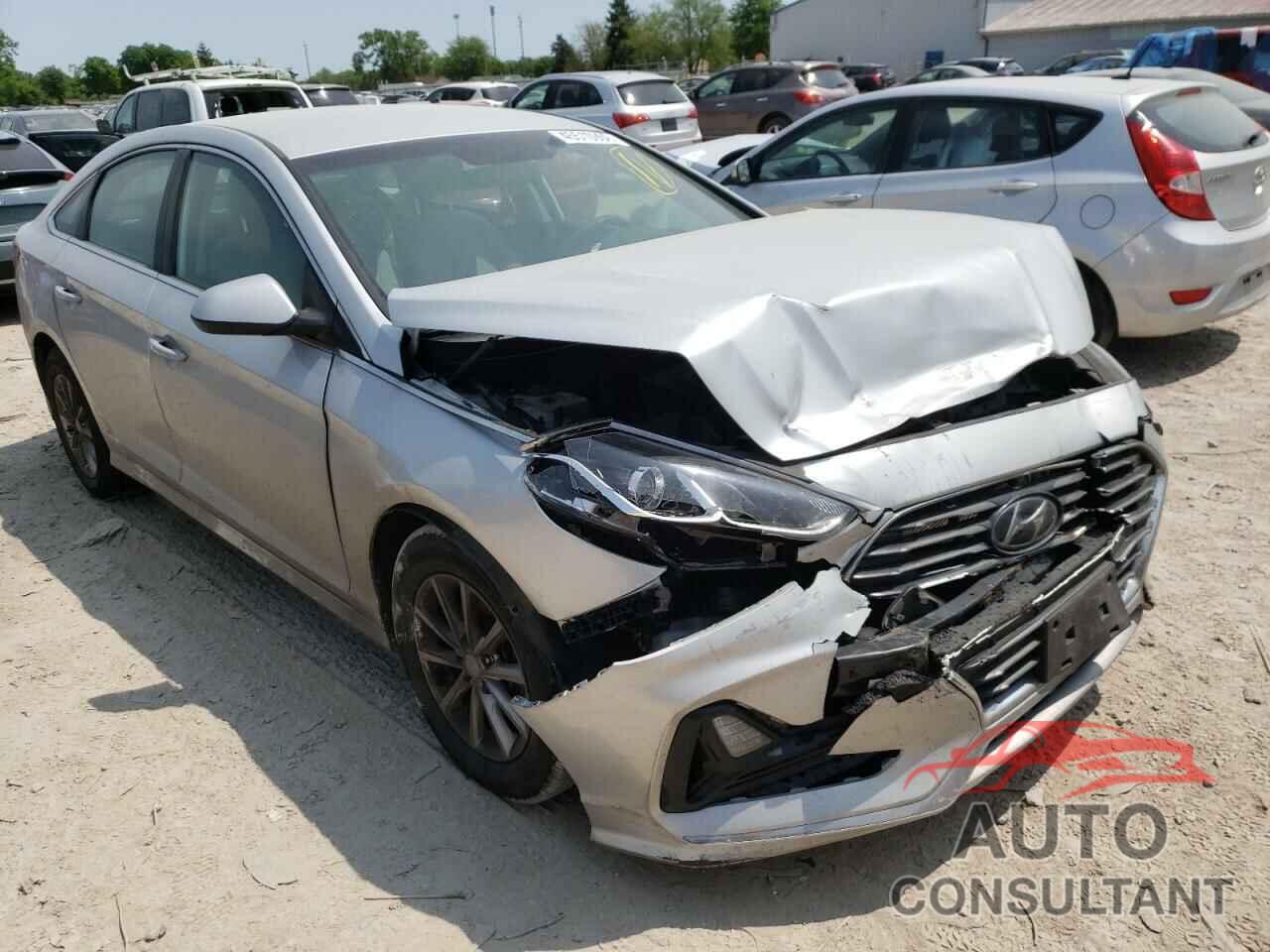 HYUNDAI SONATA 2019 - 5NPE24AF5KH784191