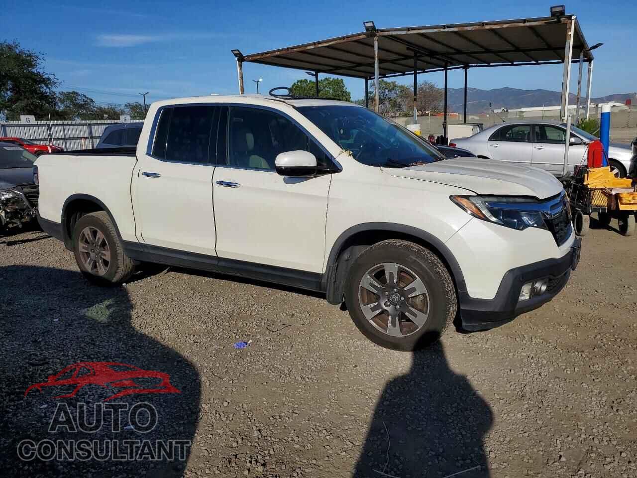 HONDA RIDGELINE 2019 - 5FPYK3F79KB000934