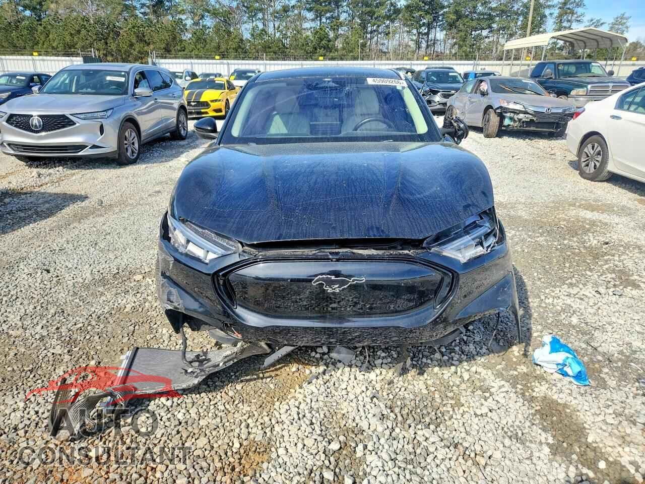 FORD MUSTANG 2021 - 3FMTK3RM7MMA46115